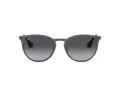 Ray-Ban Erika Metal Slnečné okuliare RB 3539 192/8G