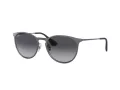 Ray-Ban Erika Metal Slnečné okuliare RB 3539 192/8G