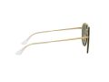 Ray-Ban Blaze Round Doublebridge Slnečné okuliare RB 3614N 9140/71