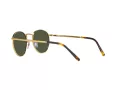 Ray-Ban New Round Slnečné okuliare RB 3637 9196/31