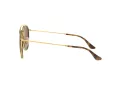 Ray-Ban Slnečné okuliare RB 3647N 001/57