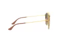 Ray-Ban Slnečné okuliare RB 3647N 001/7O