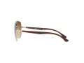 Ray-Ban Slnečné okuliare RB 3683 001/51