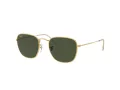 Ray-Ban Frank Slnečné okuliare RB 3857 9196/31
