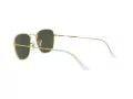 Ray-Ban Frank Slnečné okuliare RB 3857 9196/31