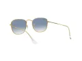 Ray-Ban Frank Slnečné okuliare RB 3857 9196/3F