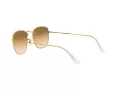 Ray-Ban Frank Slnečné okuliare RB 3857 9196/51