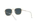 Ray-Ban Frank Slnečné okuliare RB 3857 9196/S2