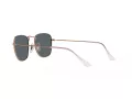 Ray-Ban Frank Slnečné okuliare RB 3857 9202R5