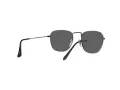 Ray-Ban Frank Slnečné okuliare RB 3857 9229/B1