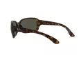 Ray-Ban Rb4068 Slnečné okuliare RB 4068 894/58
