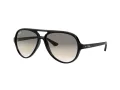 Ray-Ban Cats 5000 Slnečné okuliare RB 4125 601/32