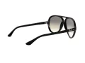 Ray-Ban Cats 5000 Slnečné okuliare RB 4125 601/32