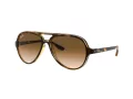 Ray-Ban Cats 5000 Slnečné okuliare RB 4125 710/51