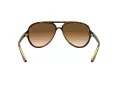 Ray-Ban Cats 5000 Slnečné okuliare RB 4125 710/51