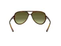 Ray-Ban Cats 5000 Slnečné okuliare RB 4125 710/A6
