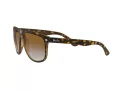 Ray-Ban Boyfriend Slnečné okuliare RB 4147 710/51
