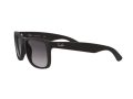 Ray-Ban Justin Slnečné okuliare 4165 601/8G