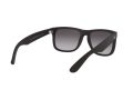 Ray-Ban Justin Slnečné okuliare 4165 601/8G