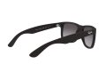 Ray-Ban Justin Slnečné okuliare 4165 601/8G