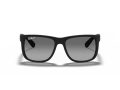 Ray-Ban Justin Slnečné okuliare 4165 622/T3