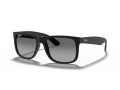 Ray-Ban Justin Slnečné okuliare 4165 622/T3