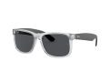 Ray-Ban Justin Slnečné okuliare RB 4165 651287