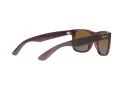 Ray-Ban Justin Slnečné okuliare RB 4165 6597T5