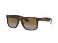 Ray-Ban Justin Slnečné okuliare RB 4165 865/T5