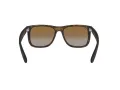 Ray-Ban Justin Slnečné okuliare RB 4165 865/T5