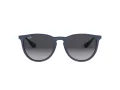 Ray-Ban Erika Slnečné okuliare RB 4171 6002/8G