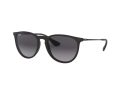 Ray-Ban Erika Slnečné okuliare RB 4171 622/8G