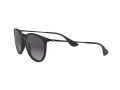 Ray-Ban Erika Slnečné okuliare RB 4171 622/8G
