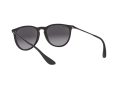 Ray-Ban Erika Slnečné okuliare RB 4171 622/8G