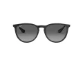 Ray-Ban Erika Slnečné okuliare RB 4171 622/T3