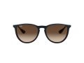 Ray-Ban Erika Slnečné okuliare RB 4171 6315/13