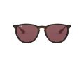Ray-Ban Erika Slnečné okuliare RB 4171 6391/75