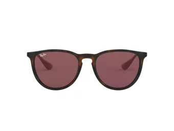 Ray-Ban Erika Slnečné okuliare RB 4171 6391/75