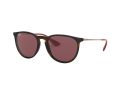 Ray-Ban Erika Slnečné okuliare RB 4171 6391/75