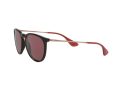 Ray-Ban Erika Slnečné okuliare RB 4171 6391/75
