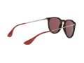 Ray-Ban Erika Slnečné okuliare RB 4171 6391/75