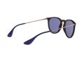 Ray-Ban Erika Slnečné okuliare RB 4171 6392/76