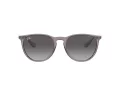 Ray-Ban Erika Slnečné okuliare RB 4171 6513/8G