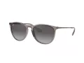 Ray-Ban Erika Slnečné okuliare RB 4171 6513/8G