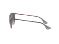 Ray-Ban Erika Slnečné okuliare RB 4171 6513/8G