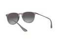 Ray-Ban Erika Slnečné okuliare RB 4171 6513/8G