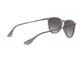 Ray-Ban Erika Slnečné okuliare RB 4171 6513/8G