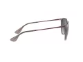Ray-Ban Erika Slnečné okuliare RB 4171 6513/8G