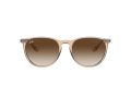 Ray-Ban Erika Slnečné okuliare 4171 651413
