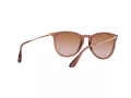 Ray-Ban Erika Slnečné okuliare RB 4171 6590/13